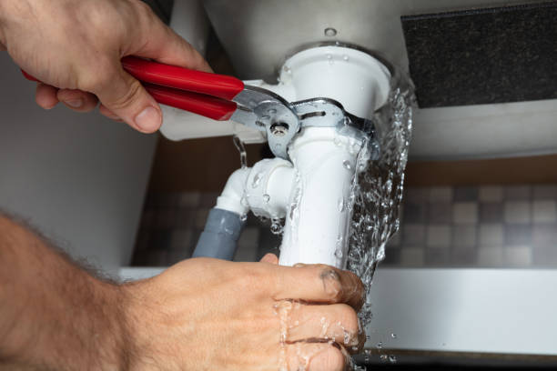 Best Water damage restoration specialists  in Greenville, SC