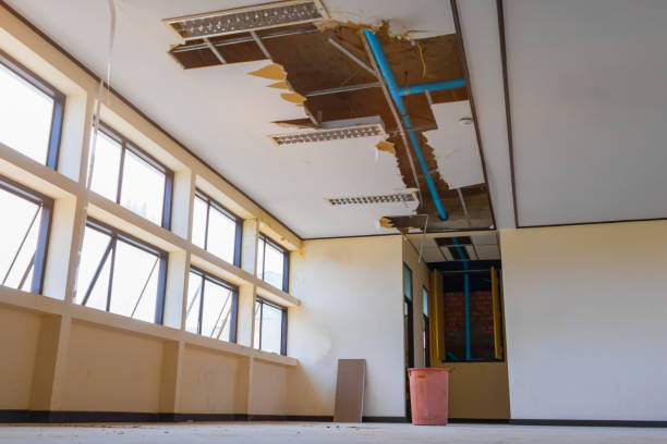 Best Residential water damage restoration  in Greenville, SC