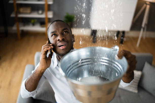 Best Commercial water damage restoration  in Greenville, SC