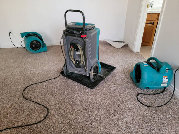 Best Emergency water damage restoration  in Greenville, SC