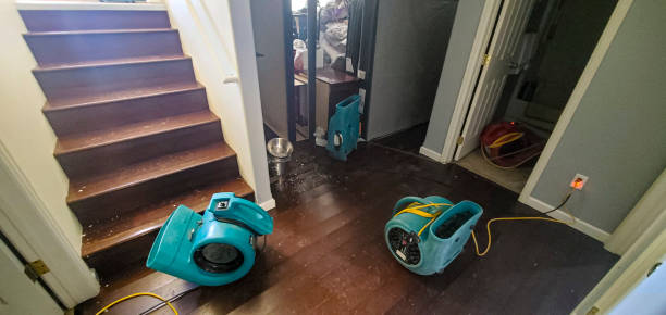 Best Carpet water damage restoration  in Greenville, SC