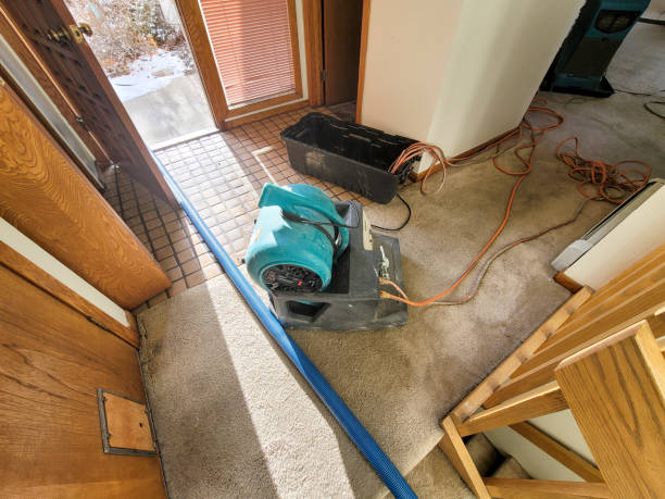 Best Water damage restoration near me  in Greenville, SC
