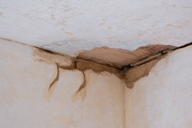 Best Basement water damage restoration  in Greenville, SC