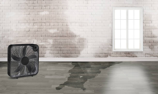 Trusted Greenville, SC Water damage restoration Experts