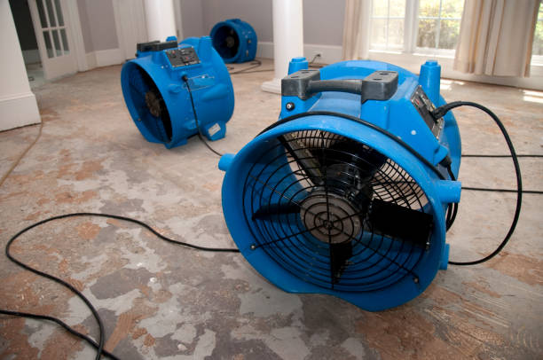 Best Sewage cleanup and water damage restoration  in Greenville, SC