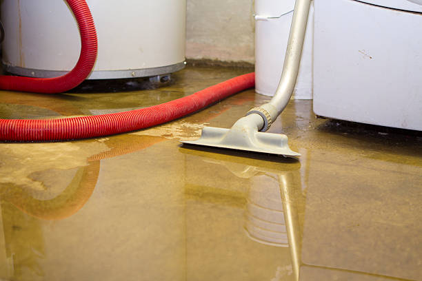 Best Fire Damage Restoration  in Greenville, SC