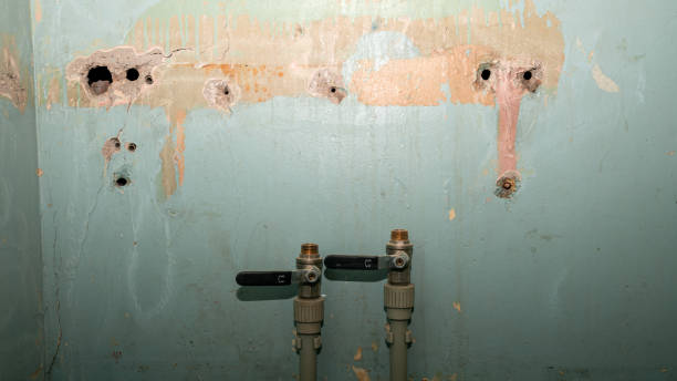 Best Flood restoration services  in Greenville, SC
