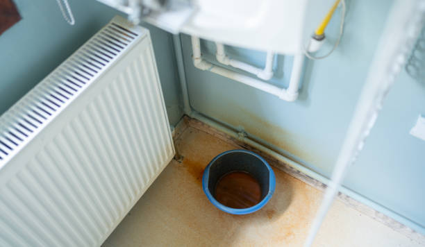 Best Professional water damage repair  in Greenville, SC